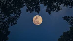 The August full moon (coinciding with a lunar eclipse) will rise above Sydney this week | Will Th…