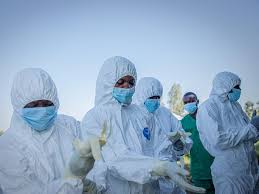 These graphs show why this Ebola outbreak is set to be the worst in history | DRC’s fast-growin…