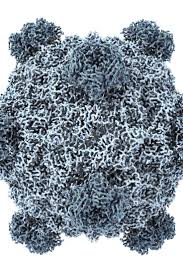 This A.I. Just Created Viruses Not Found in Nature | AI models design viruses not found in nature…