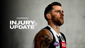 Three stars could return for Brisbane clash | Reality of Cats’ next free agent win we’re all …